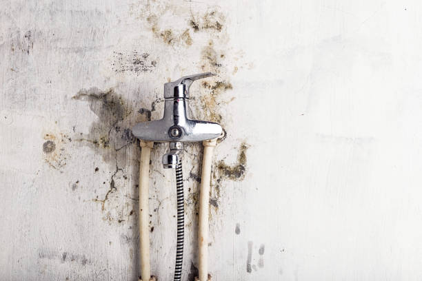 Best Post-Remediation Services in Hustisford, WI