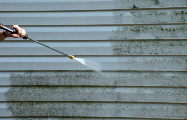 Best Commercial Mold Remediation in Hustisford, WI