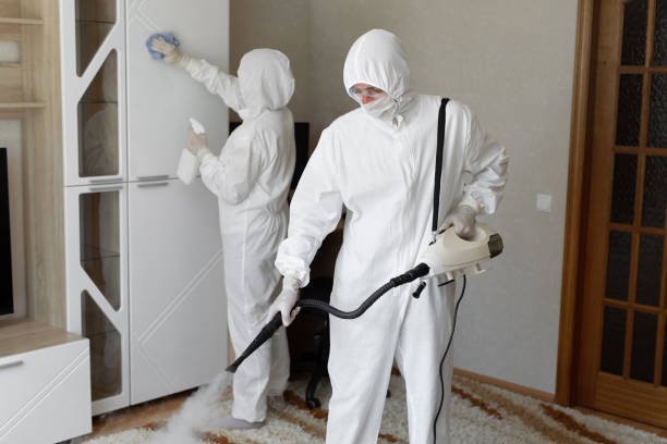 Best DIY Mold Remediation Support Services in Hustisford, WI